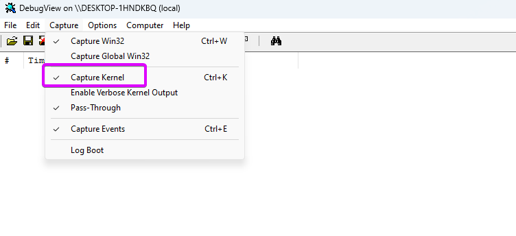 Capture kernel in dbgview